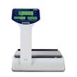 Balanza Comercial Systel Croma 31 Kg con Pantalla Alta