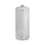 Termotanque a Gas Escorial 80 Litros Conexión Superior Multigas