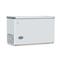 Freezer Bambi FH-4100 BP 350 Litros