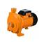 Bomba de Agua Centrifuga LUSQTOFF CPM158 1 Hp